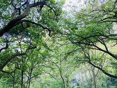 -城隍阁