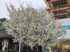 -证大大拇指广场(芳甸路店)