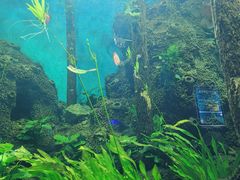 -石家庄海洋公园