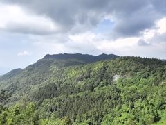 -武陵山森林公园