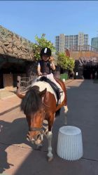 点击看大图 -宝燕乐园(闵行旗舰店)