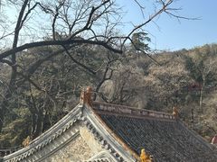 -潭柘寺景区