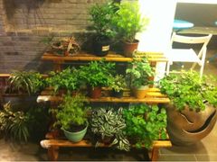 iphone_upload_pic-狐狸家·酸奶酪专门店(平江路店)