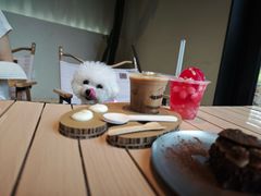 -J Create城市露营咖啡·简餐·宠物(上海动物园店)