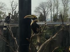 -武汉动物园