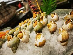 -赛瑞喜来登大酒店-盛宴自助餐厅
