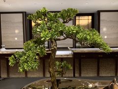 -青雅中餐厅(大连金石滩绿发希尔顿度假酒店)