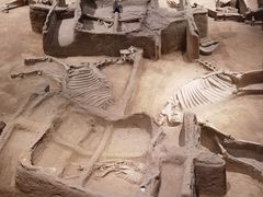 -洛阳周王城天子驾六博物馆