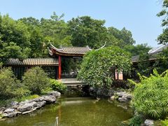 -顺峰山公园