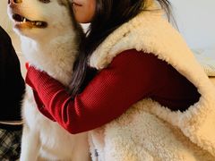 -Husky Go! 哈士奇体验馆·宠物咖啡厅狗咖