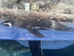 -福州罗源湾海洋世界旅游区