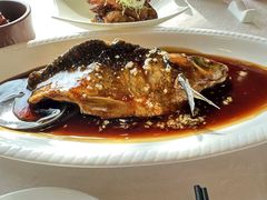 西湖醋鱼-楼外楼(西湖景区孤山路店)