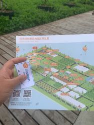 点击看大图 -前小桔亲子创意农场·草莓采摘·露营烧烤