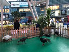 -大族广场Mall&More