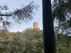 -深圳国际园林花卉博览园