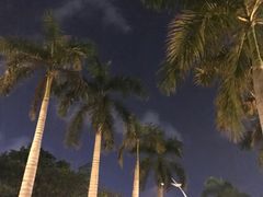-三亚中亚国际大酒店