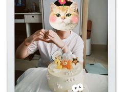 -维尔纳斯·生日蛋糕·动物奶油冰淇淋蛋糕(六里桥店)
