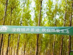 -森林小栈TreeStation露营基地