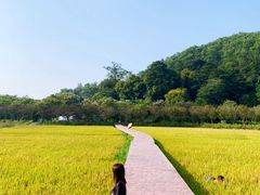 -红山村