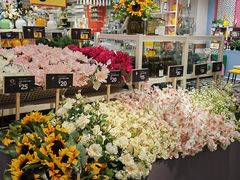 -宜家家居(四元桥商场店)