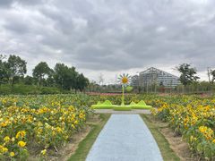 -春花秋色城市公园