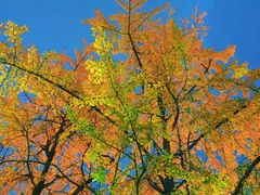 -西南政法大学(渝北校区)