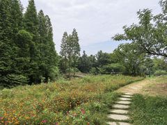 -桤木河湿地公园