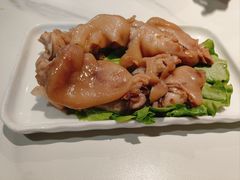 -丁老爷子苏香圆
