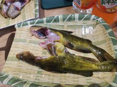 -铭记蛙小仙·活蛙畅享(CBD万达广场店)