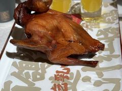 -大鸽饭(动物园店)