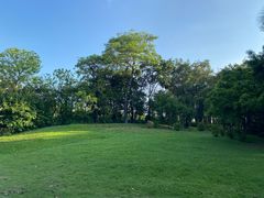 -深圳湾公园(南山区)