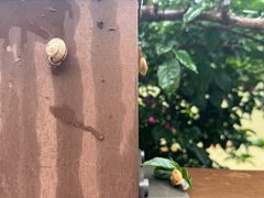 -乌江画廊(彭水苗族土家族自治县)