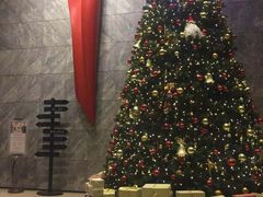 -北京希尔顿逸林酒店