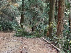 -阿育王寺