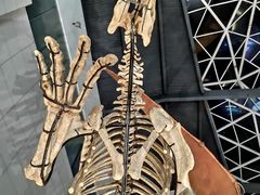 -湖南省地质博物馆