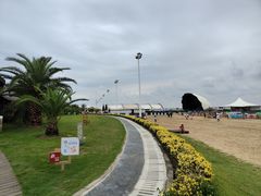 -碧海金沙