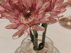 -La Vita 意大利传统料理(富民路店)