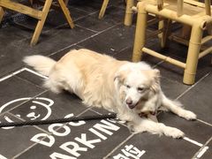 -吼堂老火锅(太古里总店)