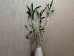 -灸春堂·专业艾灸·连锁品牌(丰潭路店)