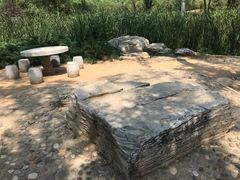 -滨河世纪广场公园