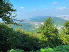 -惠山国家森林公园