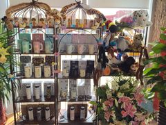 -ZOO COFFEE 动物园咖啡(亦庄店)