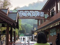 -野象谷景区