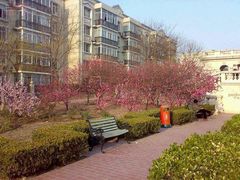 -北京市天通苑中山实验学校