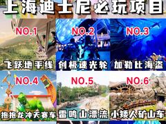 -上海迪士尼度假区