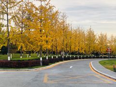 -北京园博大酒店