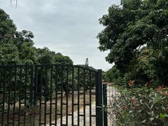 -东莞植物园