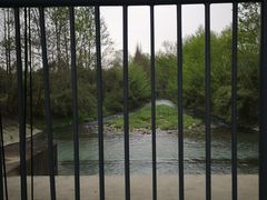 -桤木河湿地公园