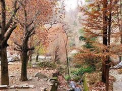 -秦岭终南山世界地质公园翠华山景区