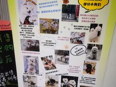 -柴犬小屋·柴餐厅·狗咖食堂(金鼎广场店)